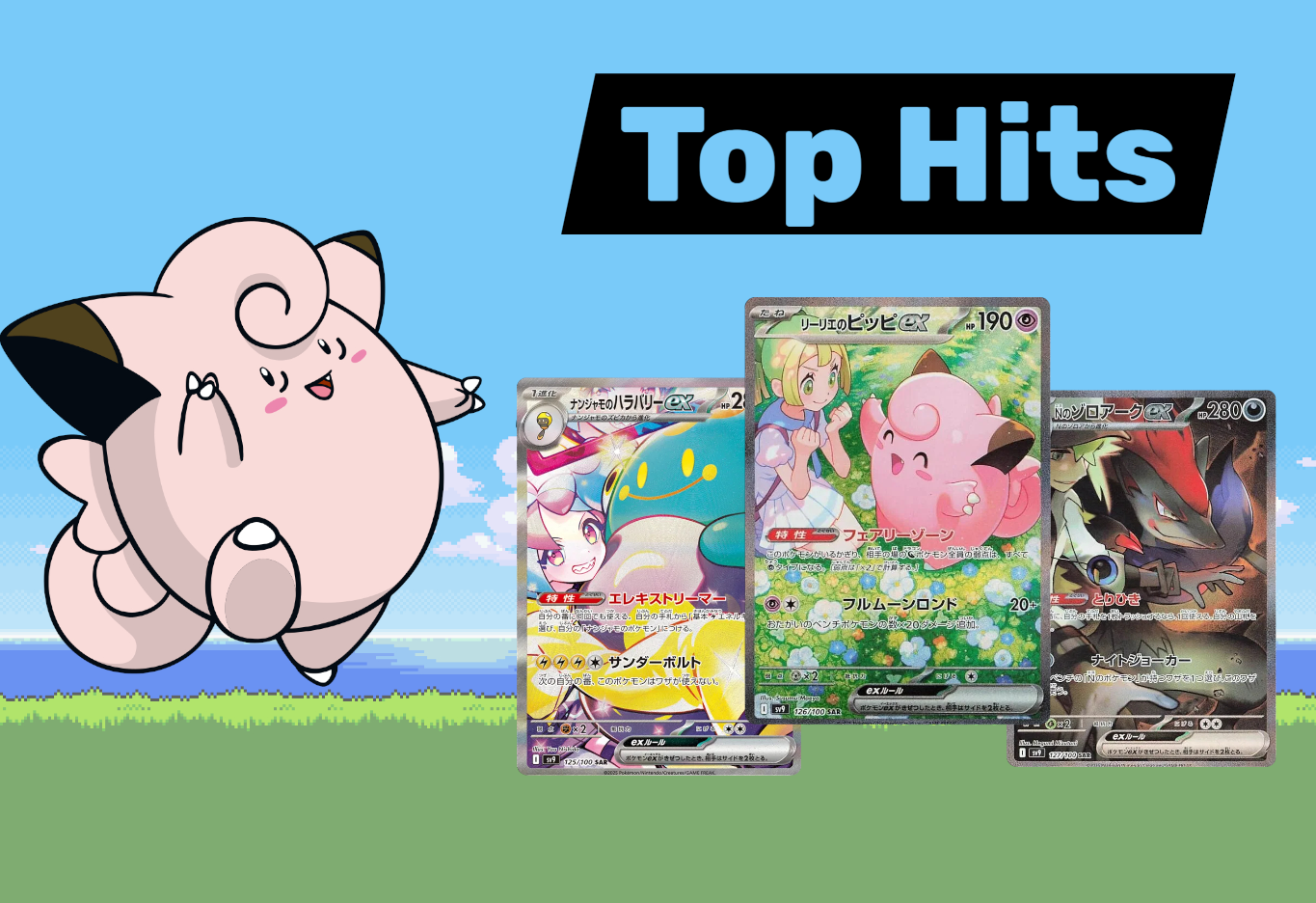 Pokemon Battle Partners Display Koreanisch