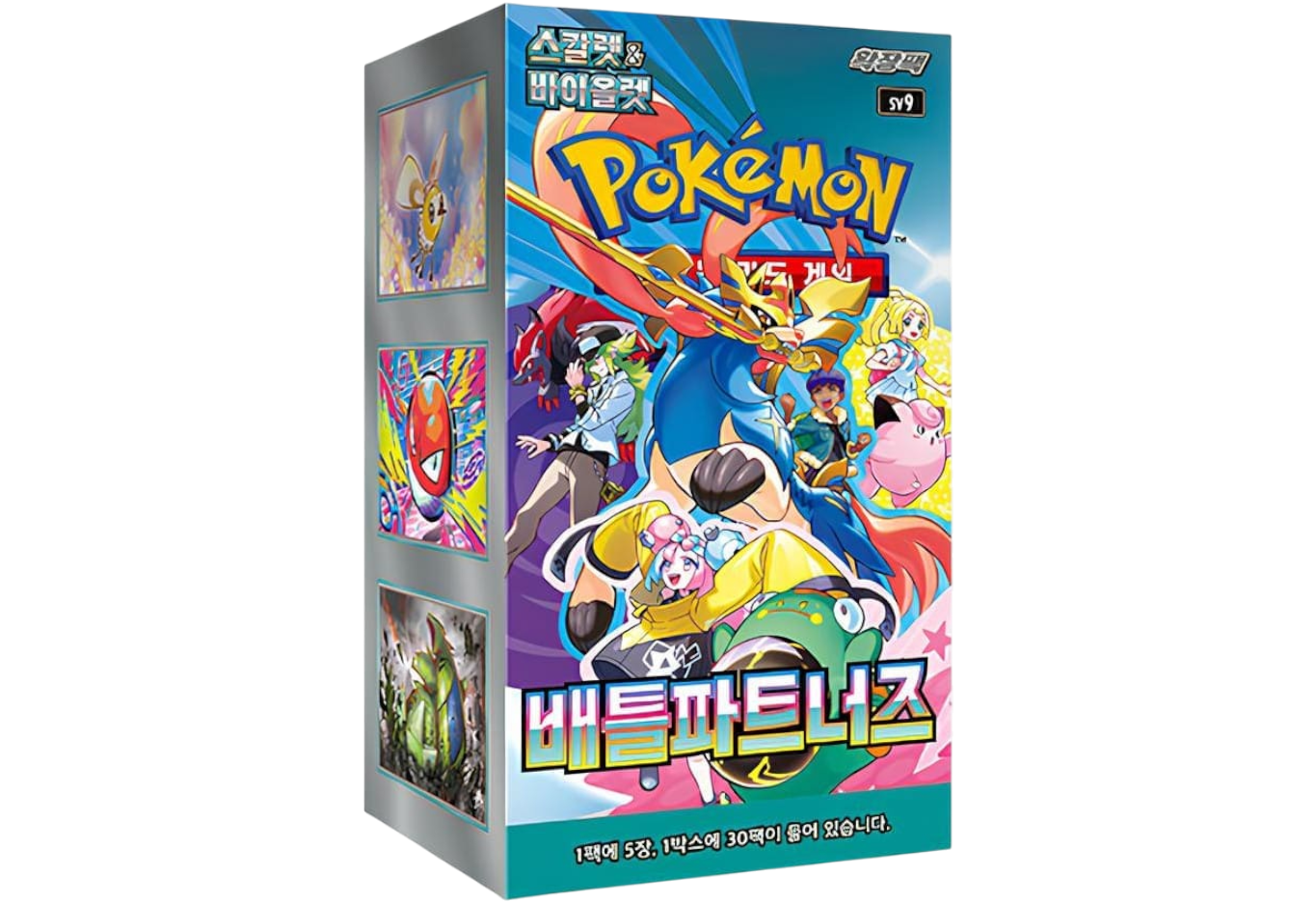 Pokemon Battle Partners Display Koreanisch