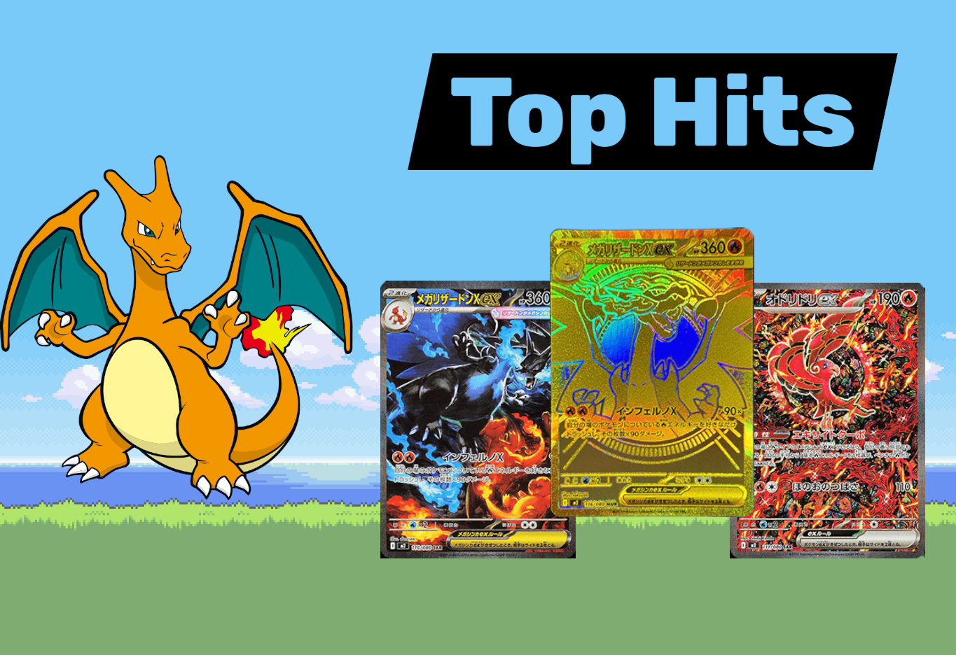 Pokemon Inferno X Display Koreanisch