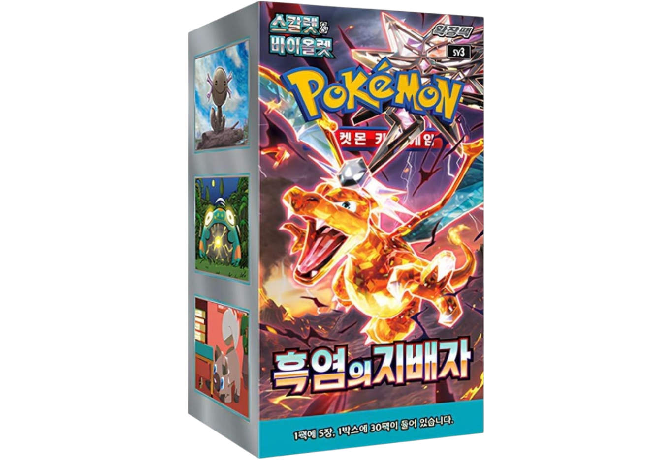 Pokemon Ruler of the Black Flame Display Koreanisch